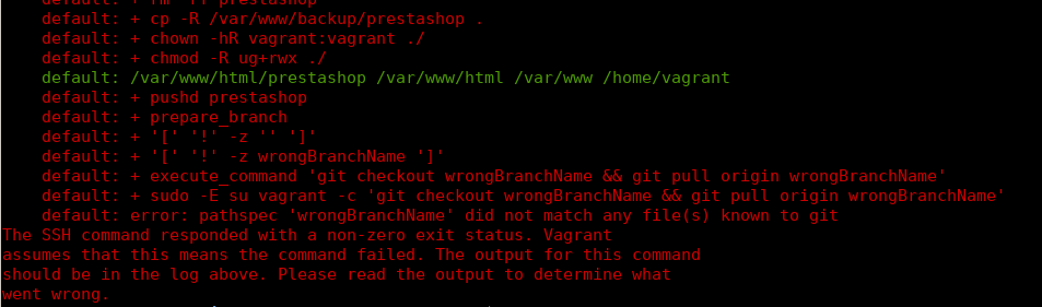 Invalid git branch name